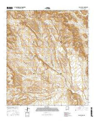 San Luis Pass New Mexico Current topographic map, 1:24000 scale, 7.5 X 7.5 Minute, Year 2017