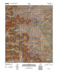 San Ramon New Mexico Historical topographic map, 1:24000 scale, 7.5 X 7.5 Minute, Year 2010