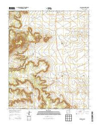 San Ramon New Mexico Historical topographic map, 1:24000 scale, 7.5 X 7.5 Minute, Year 2013