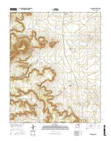 San Ramon New Mexico Current topographic map, 1:24000 scale, 7.5 X 7.5 Minute, Year 2017