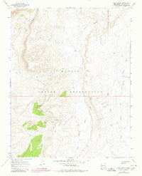 Sand Spring New Mexico Historical topographic map, 1:24000 scale, 7.5 X 7.5 Minute, Year 1966