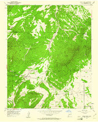 Sandia Park New Mexico Historical topographic map, 1:24000 scale, 7.5 X 7.5 Minute, Year 1954
