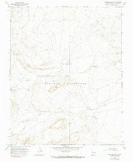 Sanostee East New Mexico Historical topographic map, 1:24000 scale, 7.5 X 7.5 Minute, Year 1966
