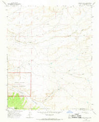 Sargent Ranch New Mexico Historical topographic map, 1:24000 scale, 7.5 X 7.5 Minute, Year 1966