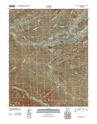 Sargent Ranch New Mexico Historical topographic map, 1:24000 scale, 7.5 X 7.5 Minute, Year 2010