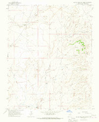 Sauble Circle Dot Ranch New Mexico Historical topographic map, 1:24000 scale, 7.5 X 7.5 Minute, Year 1965
