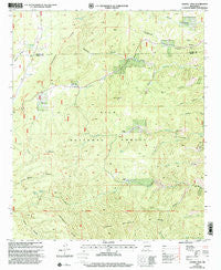 Sawmill Peak New Mexico Historical topographic map, 1:24000 scale, 7.5 X 7.5 Minute, Year 1999