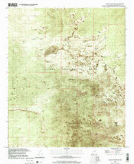 Selden Canyon NE New Mexico Historical topographic map, 1:24000 scale, 7.5 X 7.5 Minute, Year 1996