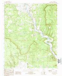 Sena New Mexico Historical topographic map, 1:24000 scale, 7.5 X 7.5 Minute, Year 1989