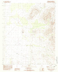 Sentinel Butte New Mexico Historical topographic map, 1:24000 scale, 7.5 X 7.5 Minute, Year 1982