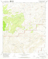 Serpentine Bends New Mexico Historical topographic map, 1:24000 scale, 7.5 X 7.5 Minute, Year 1979