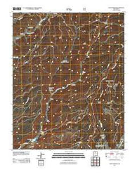 Seven Springs New Mexico Historical topographic map, 1:24000 scale, 7.5 X 7.5 Minute, Year 2011