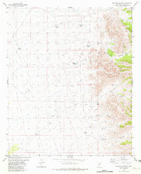 Shannon Canyon New Mexico Historical topographic map, 1:24000 scale, 7.5 X 7.5 Minute, Year 1981