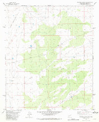 Shannon Canyon NW New Mexico Historical topographic map, 1:24000 scale, 7.5 X 7.5 Minute, Year 1981