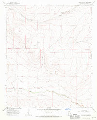 Shannon Draw New Mexico Historical topographic map, 1:24000 scale, 7.5 X 7.5 Minute, Year 1967