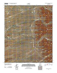 Shannon Canyon New Mexico Historical topographic map, 1:24000 scale, 7.5 X 7.5 Minute, Year 2010