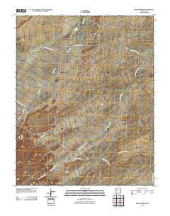 Sheep Springs New Mexico Historical topographic map, 1:24000 scale, 7.5 X 7.5 Minute, Year 2010