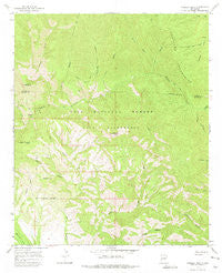 Shelley Peak New Mexico Historical topographic map, 1:24000 scale, 7.5 X 7.5 Minute, Year 1965