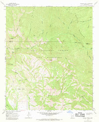 Shelley Peak New Mexico Historical topographic map, 1:24000 scale, 7.5 X 7.5 Minute, Year 1965