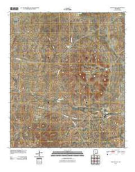 Shiloh Hills New Mexico Historical topographic map, 1:24000 scale, 7.5 X 7.5 Minute, Year 2010