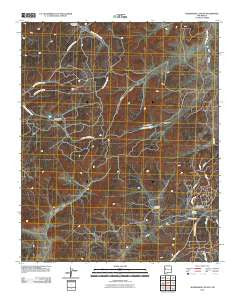 Shoemaker Canyon New Mexico Historical topographic map, 1:24000 scale, 7.5 X 7.5 Minute, Year 2010