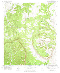 Sierra Larga North New Mexico Historical topographic map, 1:24000 scale, 7.5 X 7.5 Minute, Year 1972