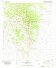 Sierra Larga South New Mexico Historical topographic map, 1:24000 scale, 7.5 X 7.5 Minute, Year 1972