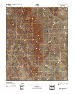 Sierra Larga South New Mexico Historical topographic map, 1:24000 scale, 7.5 X 7.5 Minute, Year 2010