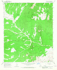 Silver Hill New Mexico Historical topographic map, 1:24000 scale, 7.5 X 7.5 Minute, Year 1964