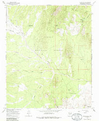 Silver Hill New Mexico Historical topographic map, 1:24000 scale, 7.5 X 7.5 Minute, Year 1964