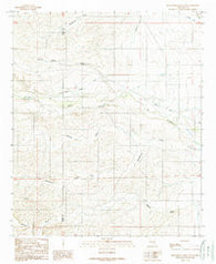 Sixteenmile Draw East New Mexico Historical topographic map, 1:24000 scale, 7.5 X 7.5 Minute, Year 1989