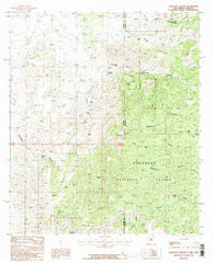 Skeleton Canyon New Mexico Historical topographic map, 1:24000 scale, 7.5 X 7.5 Minute, Year 1987