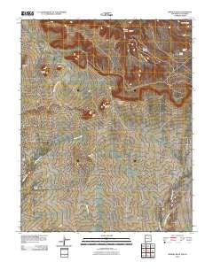 Skinney Rock New Mexico Historical topographic map, 1:24000 scale, 7.5 X 7.5 Minute, Year 2010