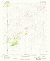Skull Mesa New Mexico Historical topographic map, 1:24000 scale, 7.5 X 7.5 Minute, Year 1966