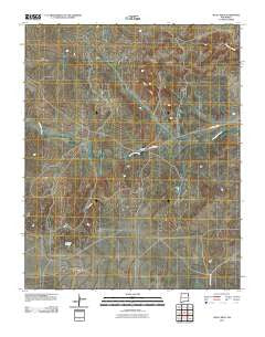 Skull Mesa New Mexico Historical topographic map, 1:24000 scale, 7.5 X 7.5 Minute, Year 2010