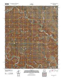 Skunk Canyon New Mexico Historical topographic map, 1:24000 scale, 7.5 X 7.5 Minute, Year 2010