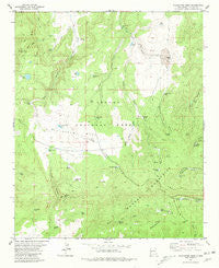 Slaughter Mesa New Mexico Historical topographic map, 1:24000 scale, 7.5 X 7.5 Minute, Year 1981
