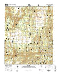 Slaughter Mesa New Mexico Current topographic map, 1:24000 scale, 7.5 X 7.5 Minute, Year 2017