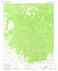 South Baldy New Mexico Historical topographic map, 1:24000 scale, 7.5 X 7.5 Minute, Year 1965