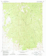 South Baldy New Mexico Historical topographic map, 1:24000 scale, 7.5 X 7.5 Minute, Year 1965