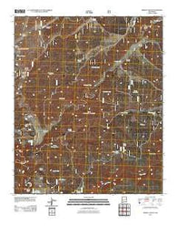 Spring Canyon New Mexico Historical topographic map, 1:24000 scale, 7.5 X 7.5 Minute, Year 2011