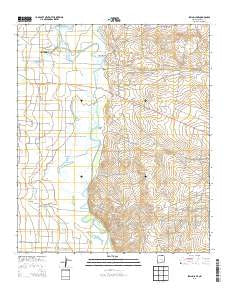Spring Lake New Mexico Historical topographic map, 1:24000 scale, 7.5 X 7.5 Minute, Year 2013