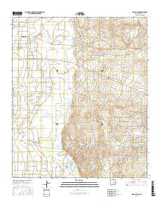 Spring Lake New Mexico Current topographic map, 1:24000 scale, 7.5 X 7.5 Minute, Year 2017