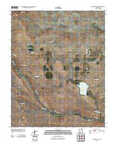 Springer Lake New Mexico Historical topographic map, 1:24000 scale, 7.5 X 7.5 Minute, Year 2010