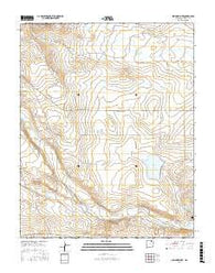 Springer Lake New Mexico Current topographic map, 1:24000 scale, 7.5 X 7.5 Minute, Year 2017