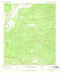 Squirrel Springs Canyon New Mexico Historical topographic map, 1:24000 scale, 7.5 X 7.5 Minute, Year 1965