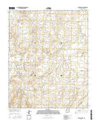 Standing Rock New Mexico Current topographic map, 1:24000 scale, 7.5 X 7.5 Minute, Year 2017