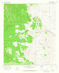 Steel Hill New Mexico Historical topographic map, 1:24000 scale, 7.5 X 7.5 Minute, Year 1964