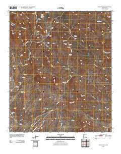 Steeple Rock New Mexico Historical topographic map, 1:24000 scale, 7.5 X 7.5 Minute, Year 2010