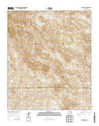 Steeple Rock New Mexico Historical topographic map, 1:24000 scale, 7.5 X 7.5 Minute, Year 2013